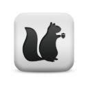 Image Squirrel for Google Chrome